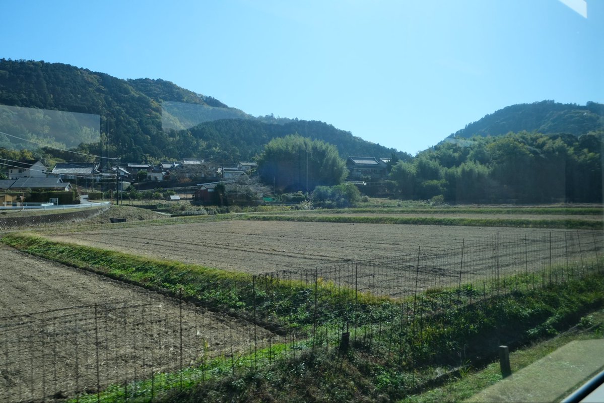 HU2434's tweet image. 【Idios &amp;amp; 緑さんとお肉・紅葉満喫旅 in三重県】 その2
JR名松線に乗ります。1両でトコトコ走っていく路線です。景色も含めてとても長閑。
今日はあまりに天気がポカポカしていて、列車内で思わずウトウト...
#しーちゃんみてみてっ
#つぶやきろこ
#石神のぞいて
#緑仙はやく見ろ