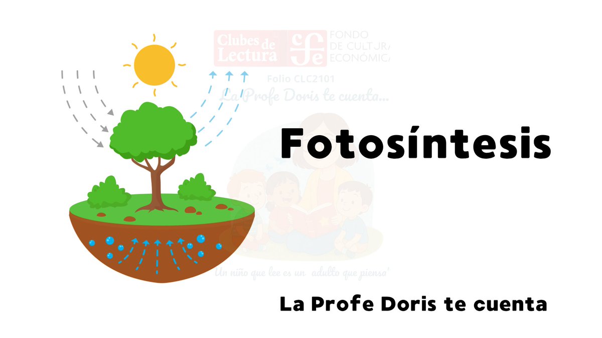 profedoris12's tweet photo. https://t.co/PhwNo2qEoz