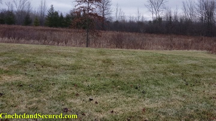 I sold another #clip! UtlraGirl Meets Dr DNA (MP4 Format) clips4sale.com/studio/109778/…