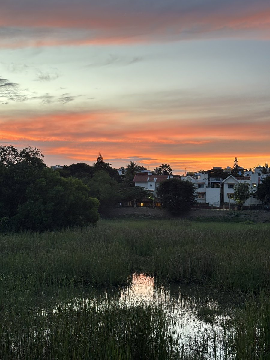 archivesbygargi's tweet image. i’m convinced bangalore is india’s best metro city