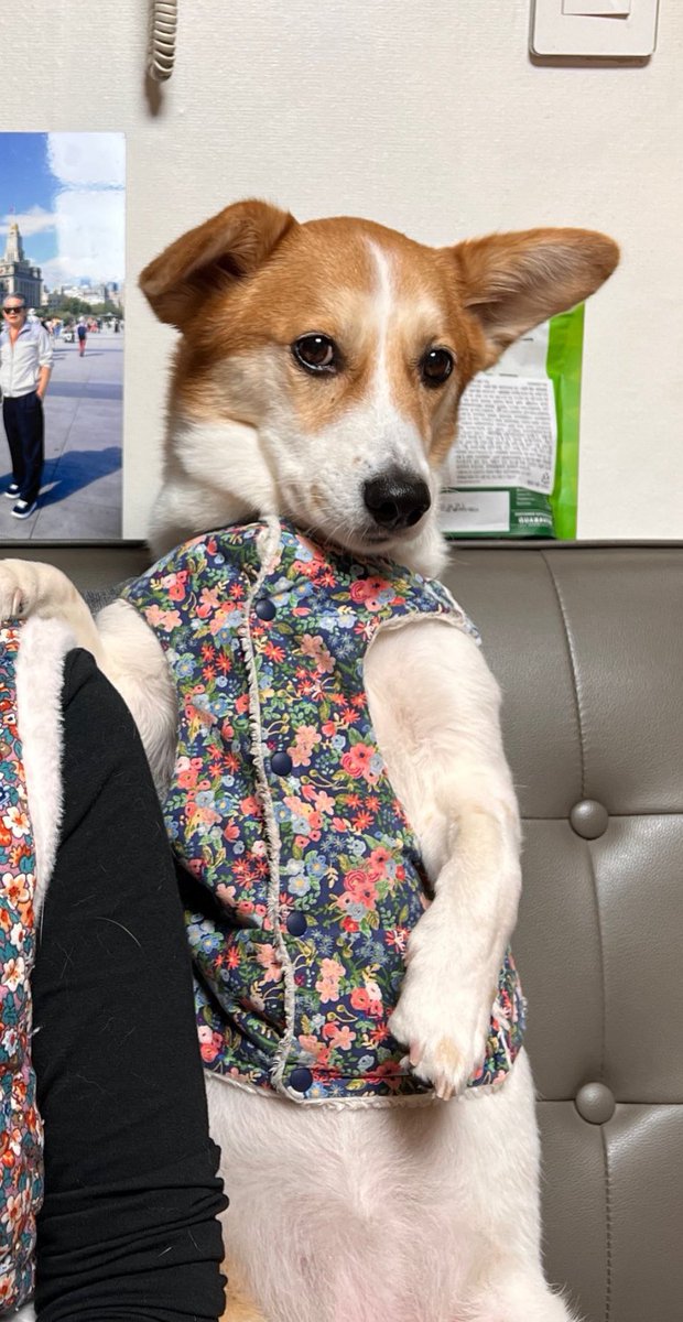 RAD_univ's tweet image. ㅎ ㅏ