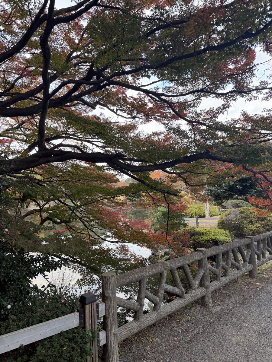 寒くなったよね～