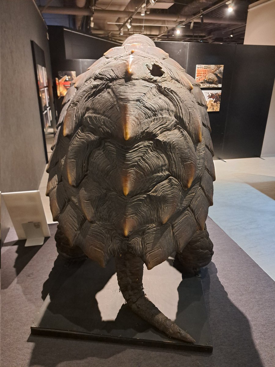 小さき勇者たち～ガメラ～」の子供ガメラ、トトの展示。やっぱり可愛い