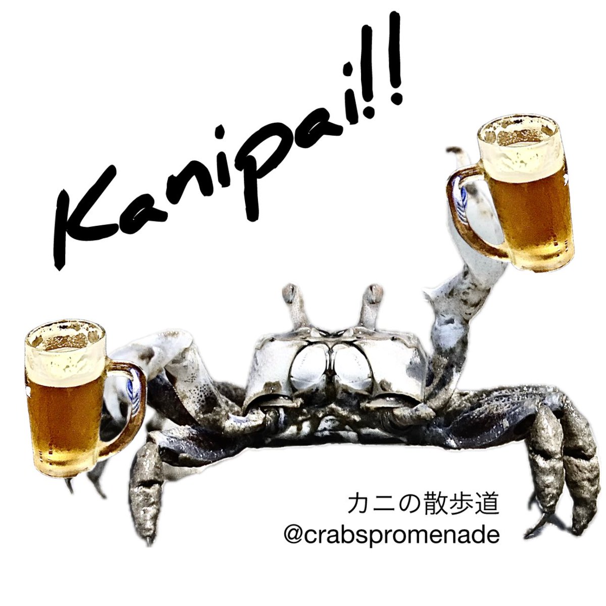忘年会シーズン、今年もタンスイチゴガニの乾杯を作りました。使いやすさはさておき笑、ロゴ入りで宜しければスタンプがわりにお使いください🦀🍻🦀
Cheers by Ilyoplax tansuiensis.
#crab #カニ