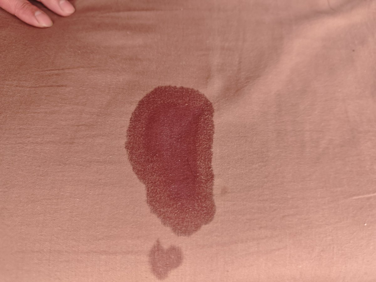 蜜桃涩骚骚 tweet media