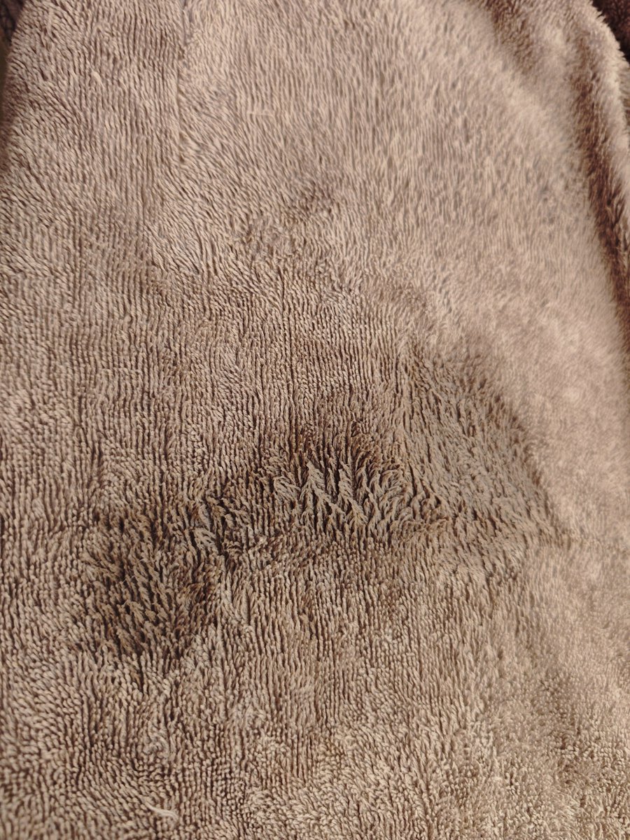 蜜桃涩骚骚 tweet media