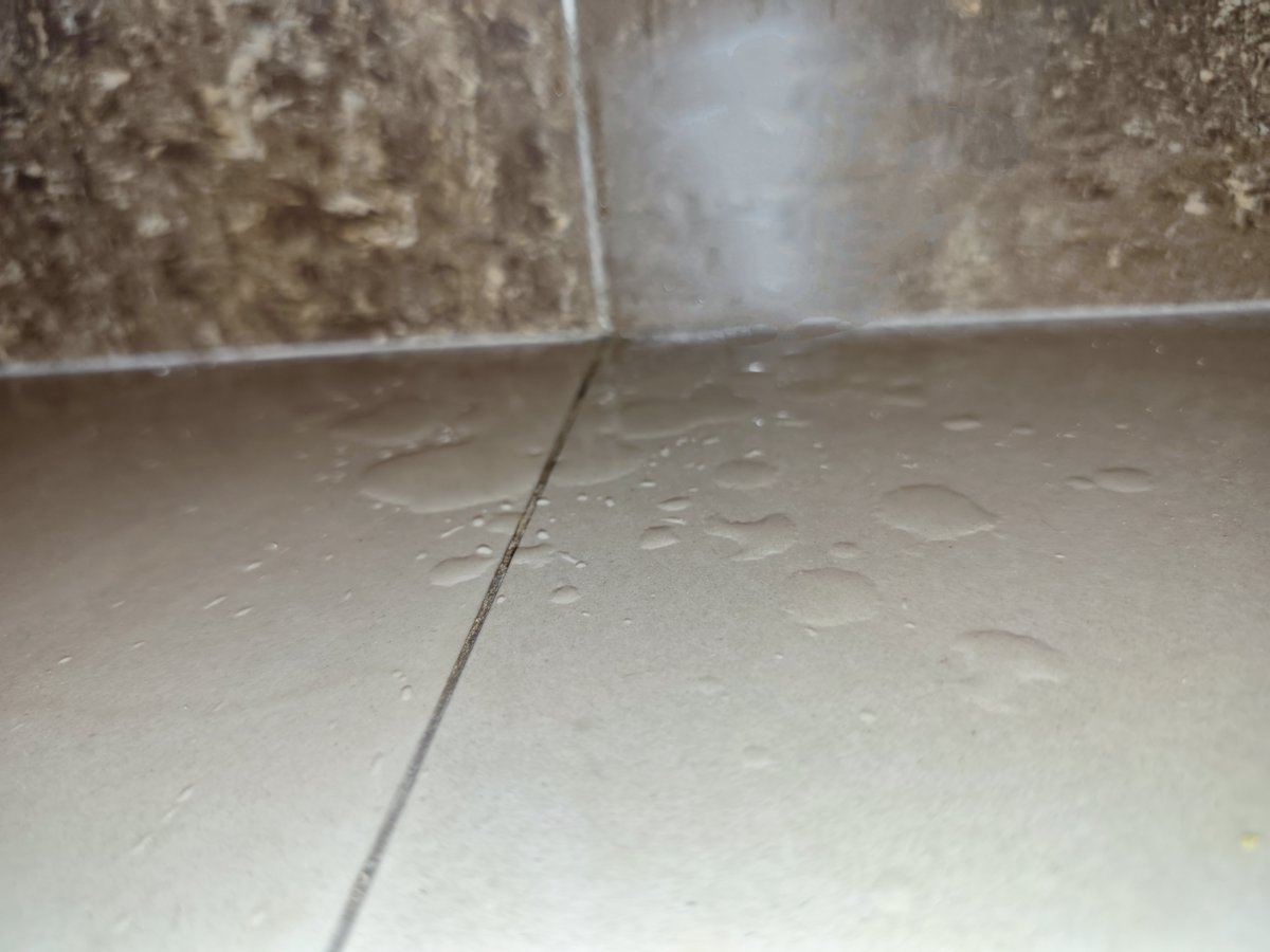 蜜桃涩骚骚 tweet media