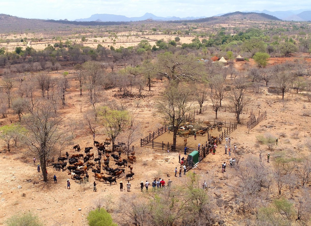 TSURO Trust tweet media