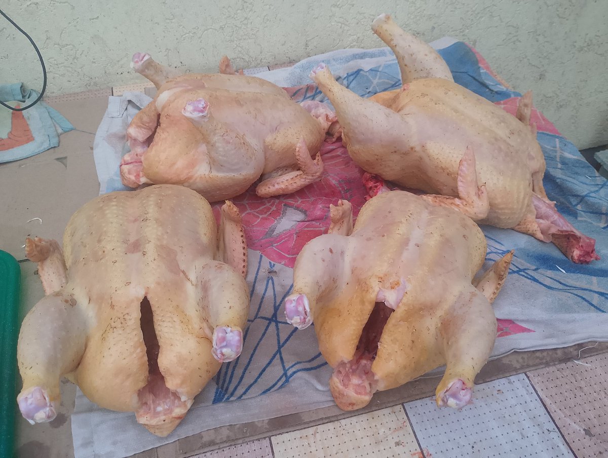 Купіть курочок. 
Сорі за негламурні фото. 
Сирі десь 4 кг - 180 за кг. 
Копчені десь 3,5 кг - 320 за кг. 

Пешіть.