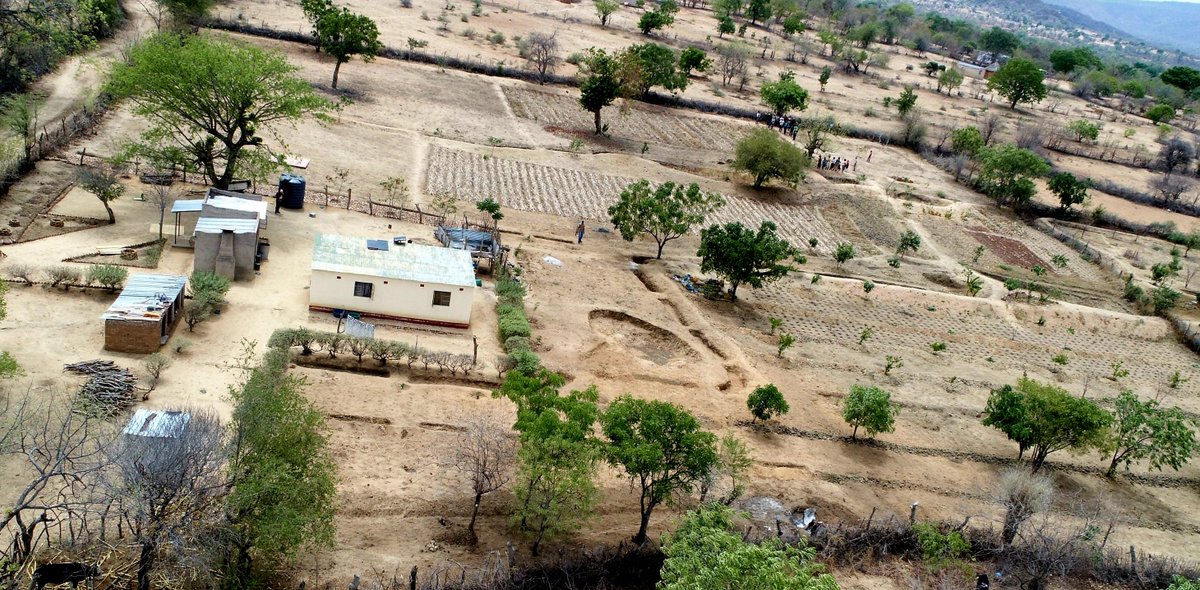 TSURO Trust tweet media