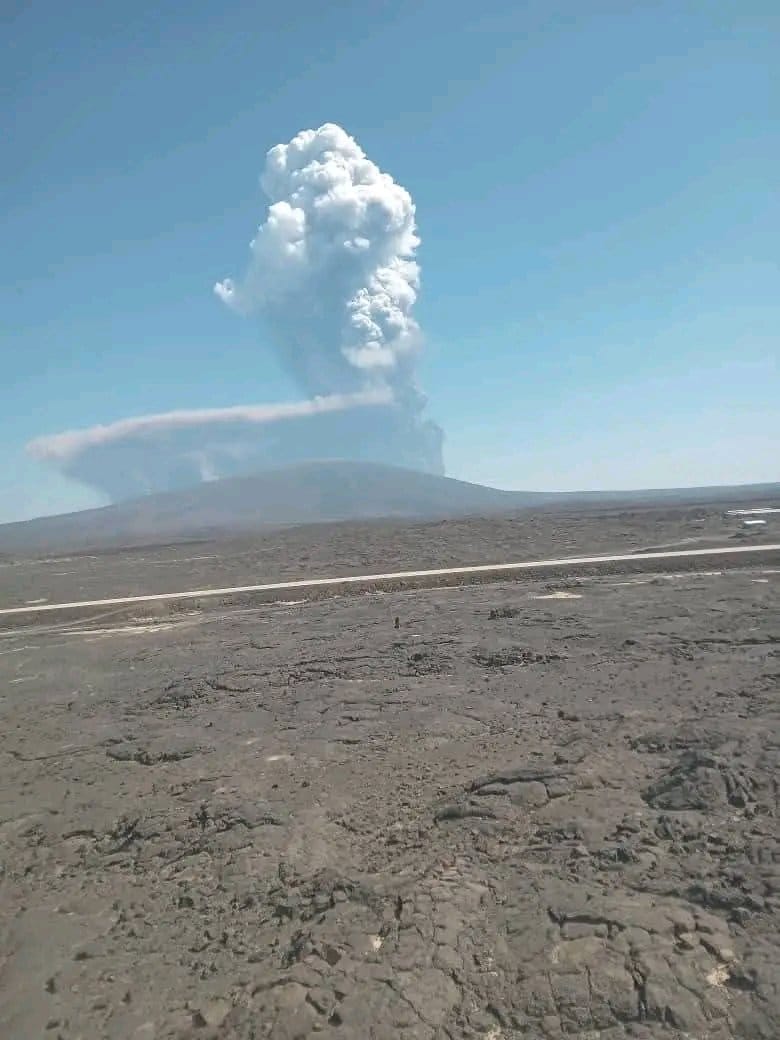 Gianfranco Argandoña Cornejo tweet media