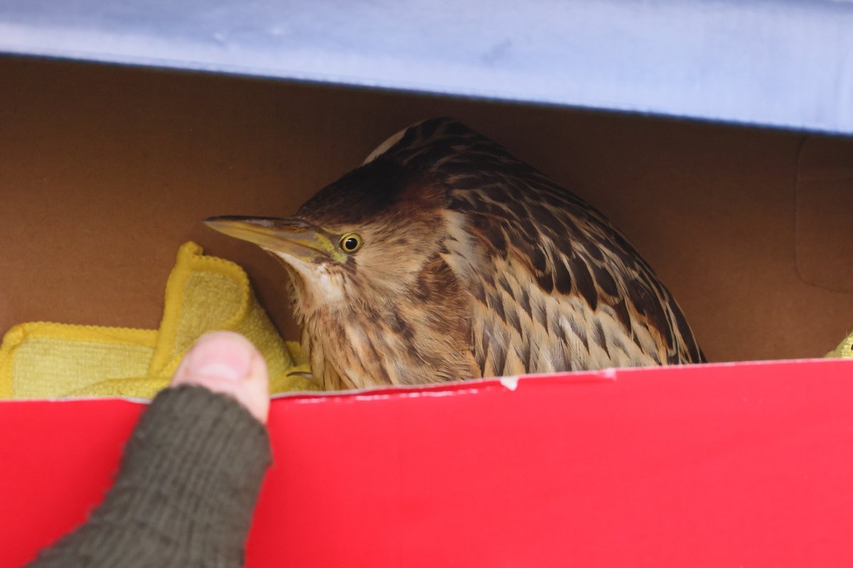 Alan S.Jack tweet media