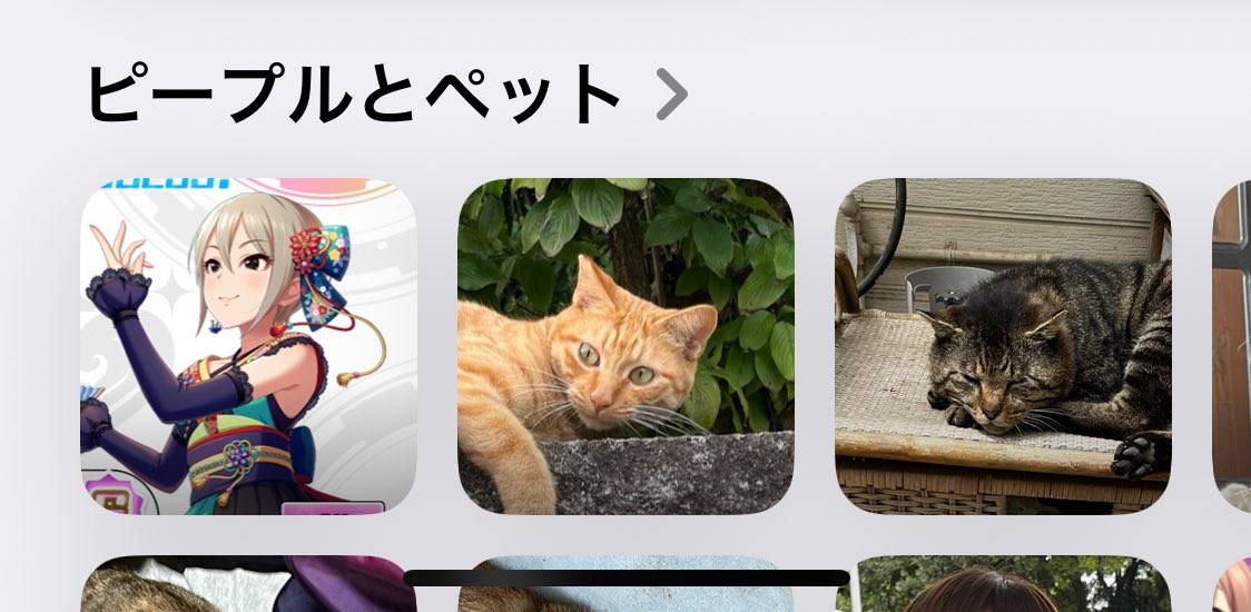 ┏┛お腹ぽよぽよ┗┓† (@py2_oO) / Posts / X