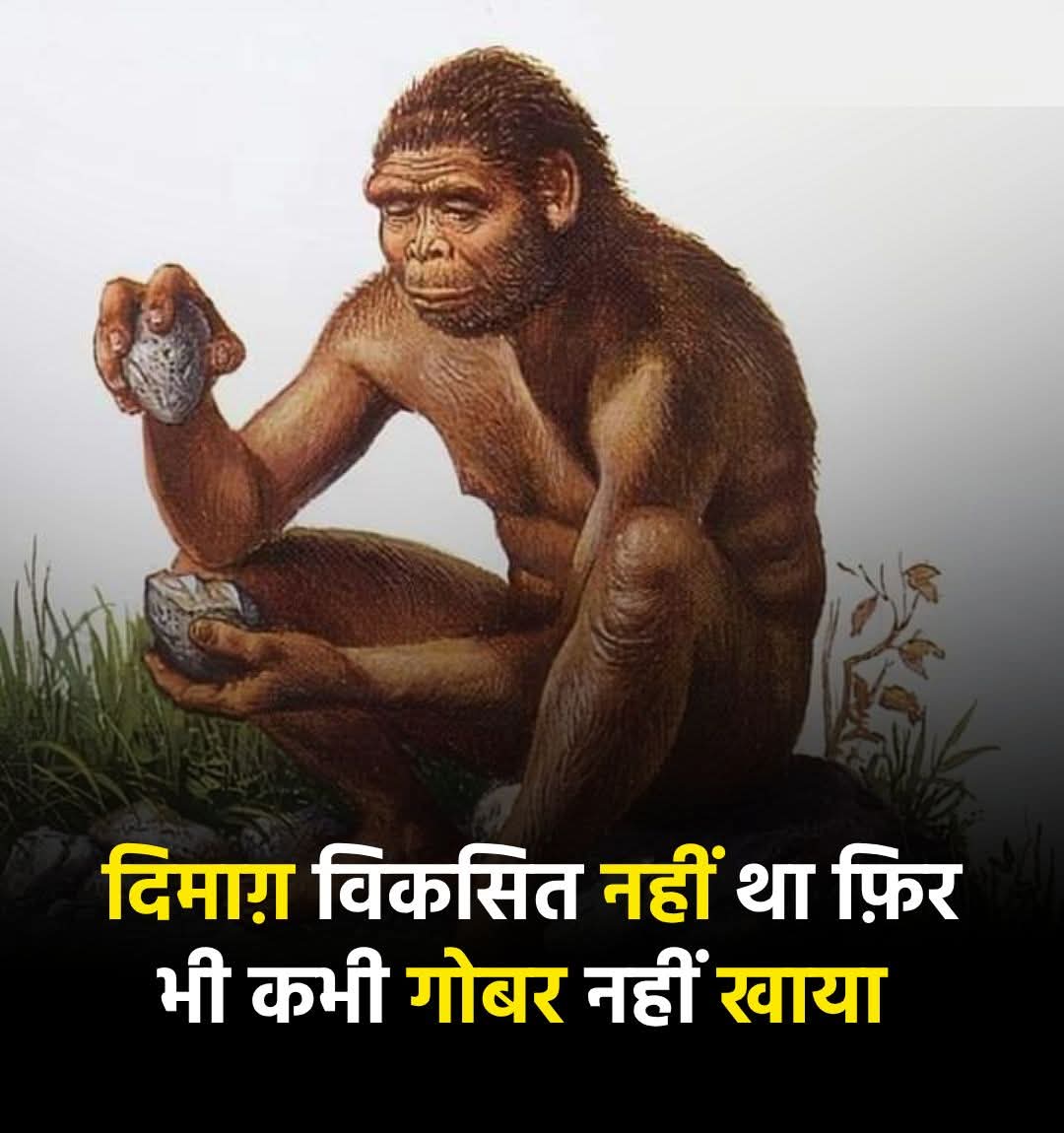 gurdeep3665's tweet photo. @Yadvkomal https://t.co/VwH1tqTYvl