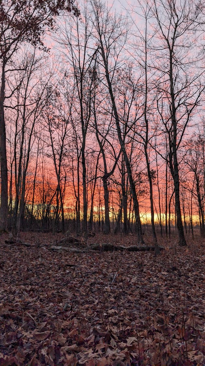 HuntFishTravel's tweet image. Day 2 of the Wisconsin opening weekend.... mother nature's greeting did not disappoint!

Nothing yesterday, perhaps today is the day!

Pulled up to public land....not a car in site, so far only one shot heard. Perhaps everyone slept in?

#NoFilter #sunrise #DeerHunting…