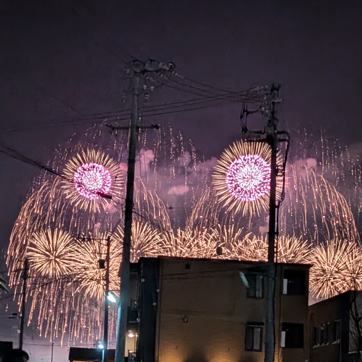花火 長野えびす講花火大会🎆 いつも寒くて震えながら見てたけど、今年は