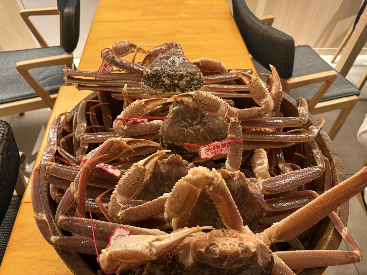 BitInvolution's tweet image. 从我开始做市场开始，每天最担心的就是，钱花了出不来KPI，出KPI又担心ROI。

所在行业又是一个强周期的行业，景气的时候，预算相对充足，担心钱花了，破不了圈，行业不景气的时候，担心没钱花，是不是要缩编，砍预算。…