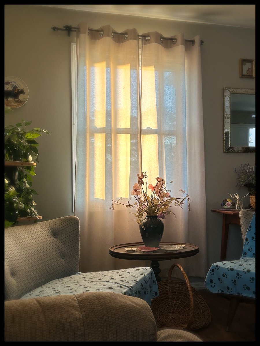 Good morning, X. ☕️🌟