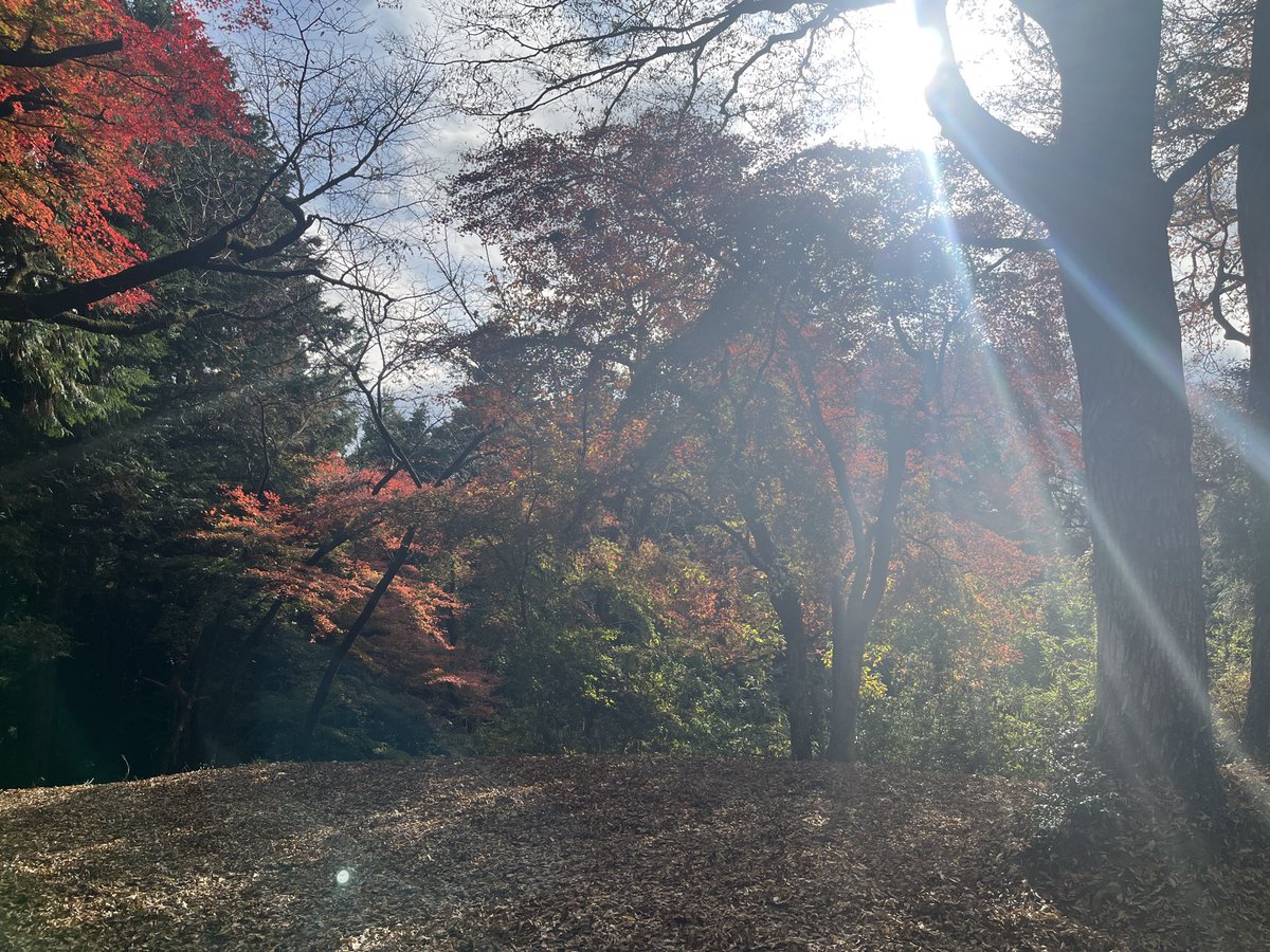 mrkk2626's tweet photo. 顔振峠というところに行ってきた。多分、埼玉県踏み入れたん初めて✨
紅葉少し。
デジタルデトックスしてきた。 https://t.co/DzrgdDP0Mv