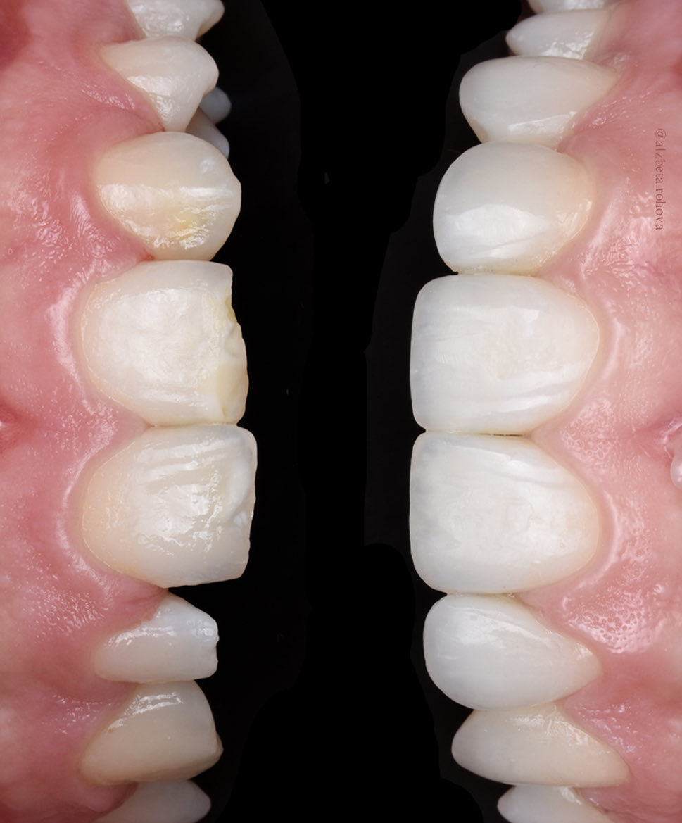 Alžběta Rohová tweet media