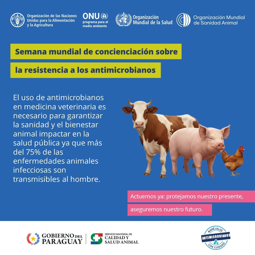 SENACSA's tweet photo. SEMANA RAM | La salud pública se protege utilizando los antimicrobianos de forma racional y 
segura. En medicina veterinaria, esto es fundamental, para garantizar la sanidad y el bienestar 
de los animales. 
Todos somos responsables de actuar con conciencia, para proteger no solamente nuestro 
presente, sino asegurar nuestro futuro. 
Para conocer más del impacto de la RAM en la Salud pública, ingresá a: 
https://t.co/AklBmPLSP5