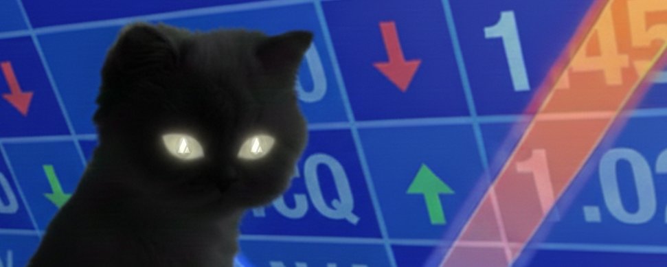 snowball_coin_'s tweet image. GIB ME WL