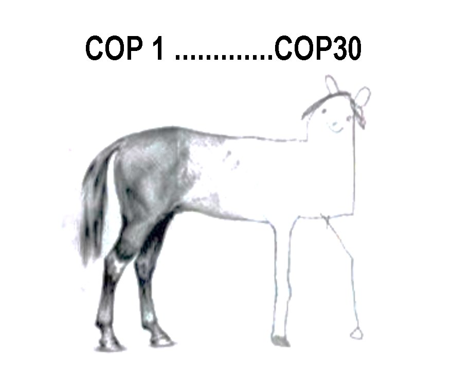 Una imagen vale más que mil palabras