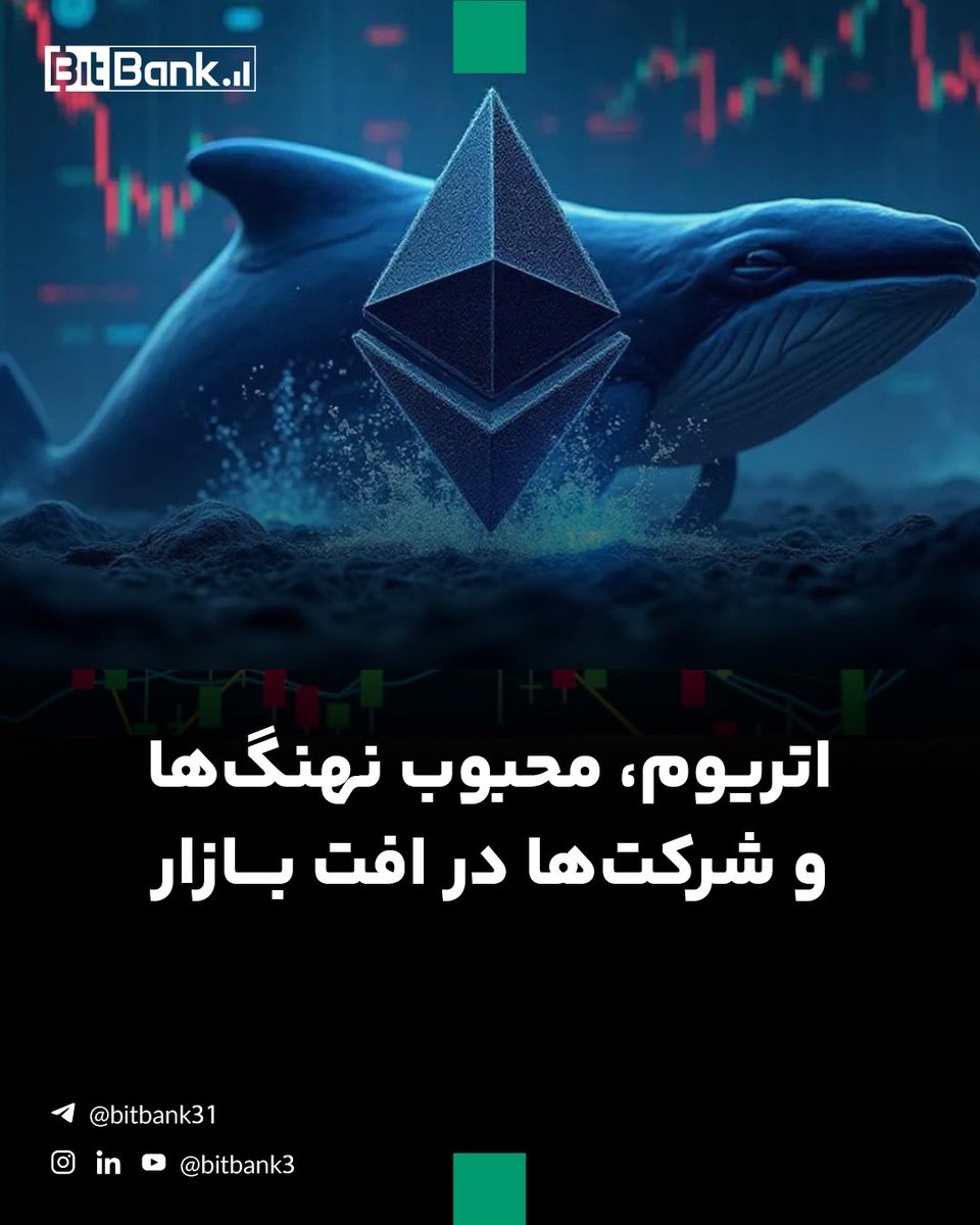 در حالی که سرمایه‌گذاران خرد از وضعیت فعلی بازار شکایت می‌کنند، شرکت‌های بزرگ مشغول خرید در کف هستند.

#اتریوم #بیت_ماین #بیت_بانک
لینک خبر:
t.me/bitbank31/2887