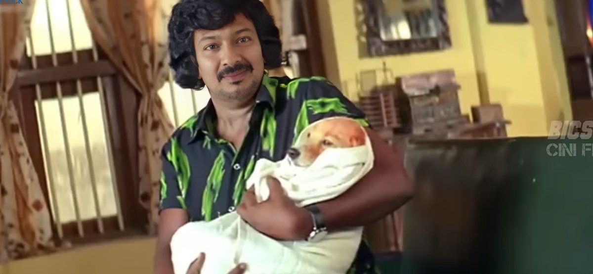 தெருநாய்களை பாதுகாப்பது அரசின் கடமை - நிவேதா பெத்துராஜ்..

~ Rowdy time!