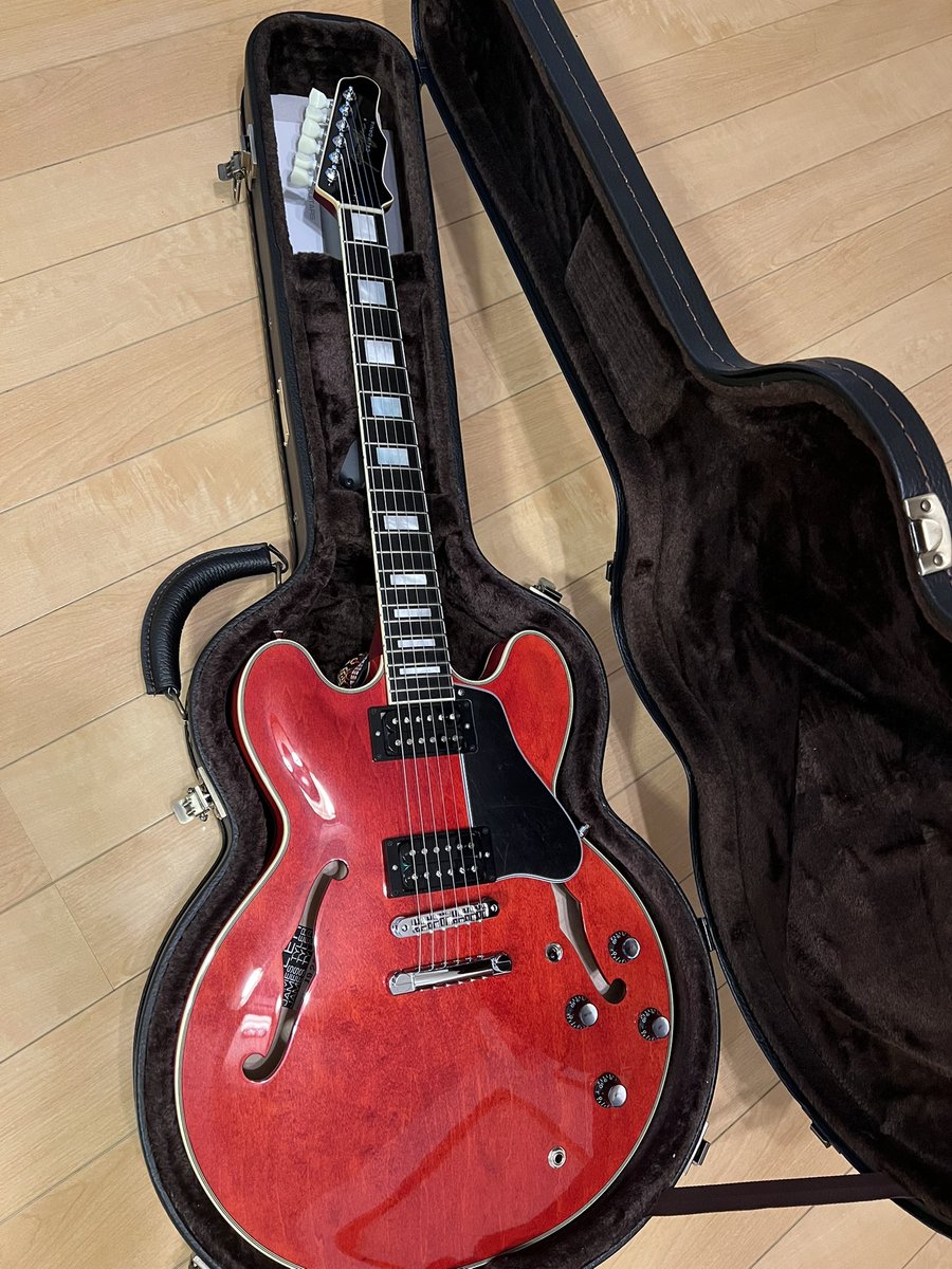 RT @_imaimasaki_: 数年前に鳥山さんが持ってたJames Tylerのセミアコ