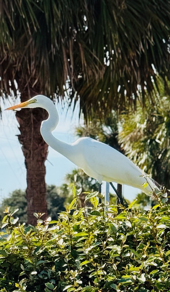 Nancy Stone tweet media