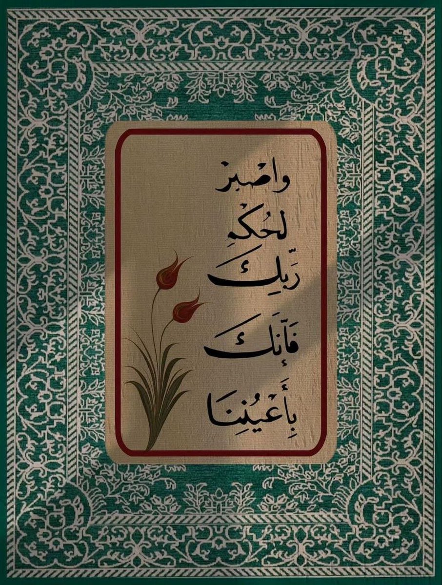 عمر بن الخطاب tweet media