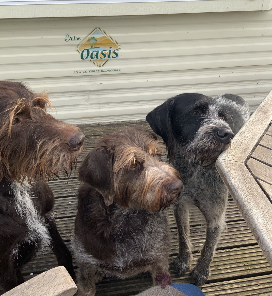 Elly Thomas tweet media