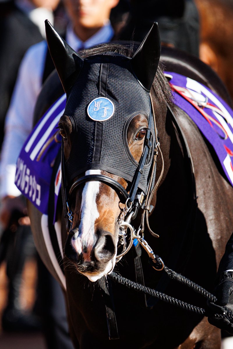 BLACK (@BLACK_t027Uma) / Posts / X