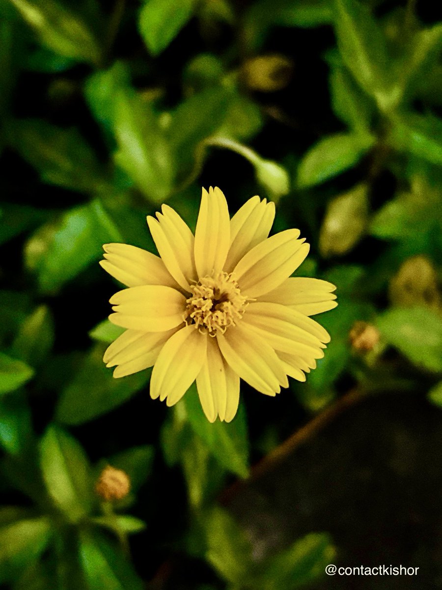 Kishore Shelar 🇮🇳 tweet media