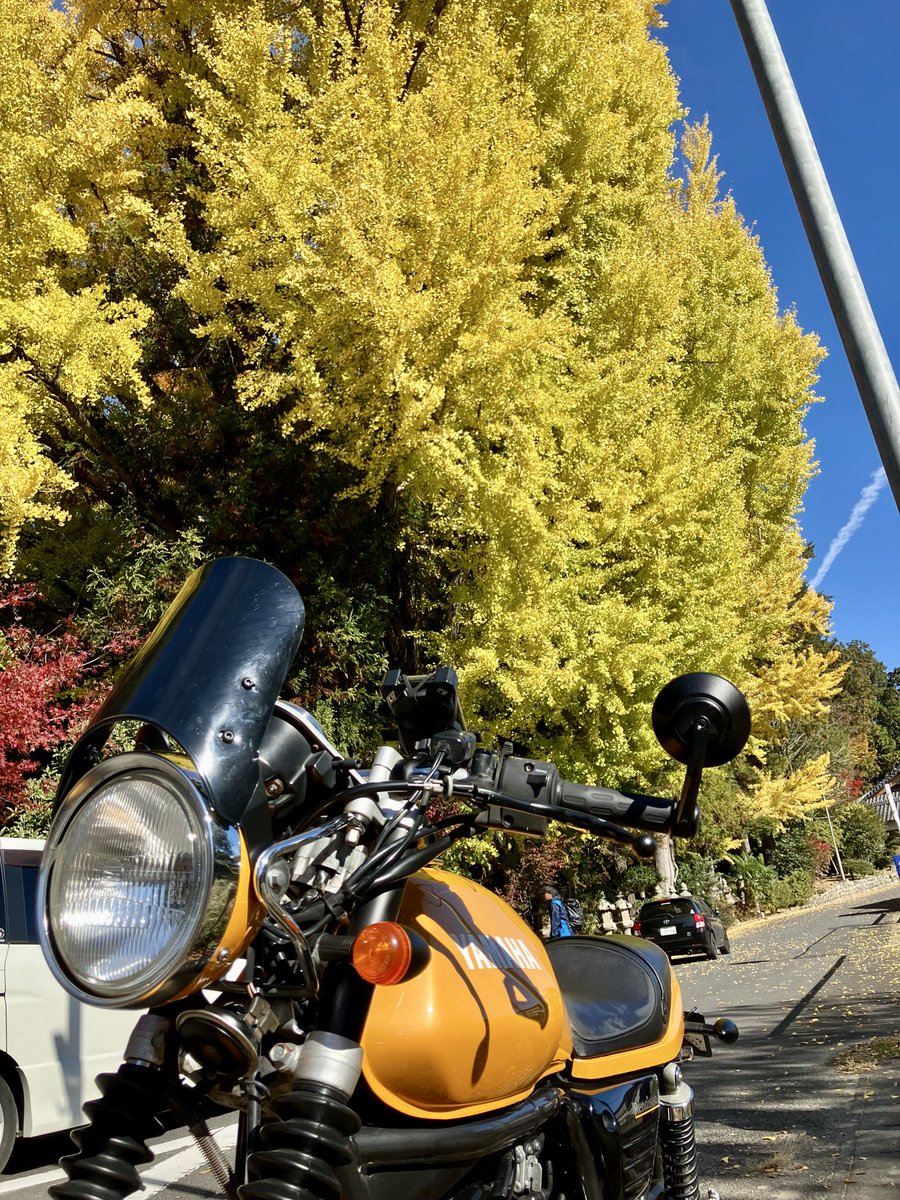 mituo_Renaissa's tweet image. のんびり香落渓へ🍁
とってもいい天気で気持ち良かった😆
とりの台所も久しぶりに
やっぱり⭕️美味しかった😋
#ルネッサ  #SRV