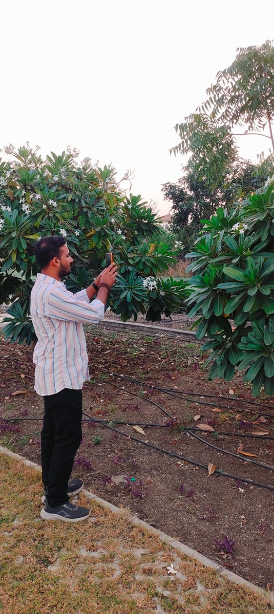 RSCRajkot's tweet image. 🌟 Just celebrated World Fibonacci Day at RSC Rajkot! 🌿 Kids &amp;amp; visitors explored Fibonacci spirals in nature &amp;amp; enjoyed photography &amp;amp; games 📸🎮 #WorldFibonacciDay #RSCRajkot #NatureMeetsMath