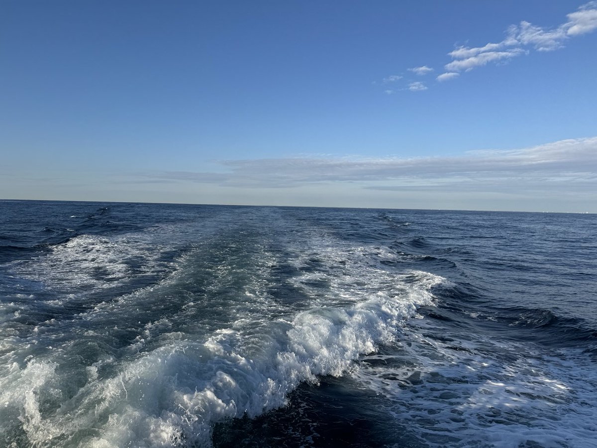 Land is almost completely out of sight.
See you later 👋😃