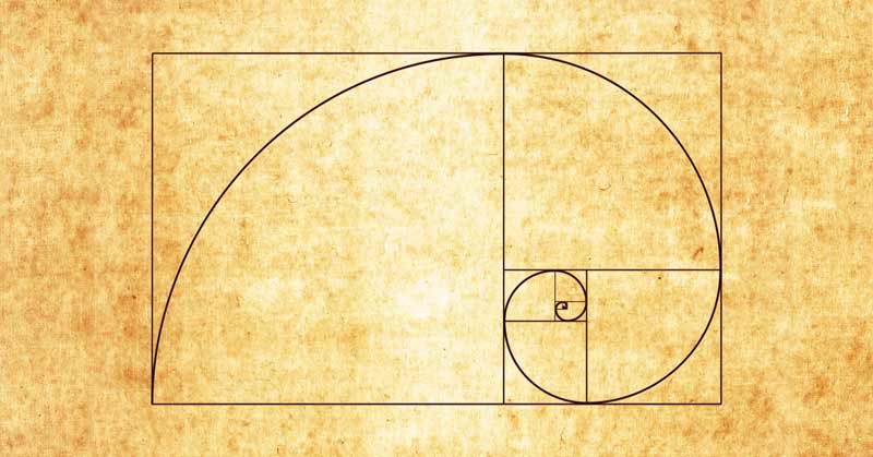 Hondashstari's tweet image. Happy Fibonacci day 11/23…
#fibonacci