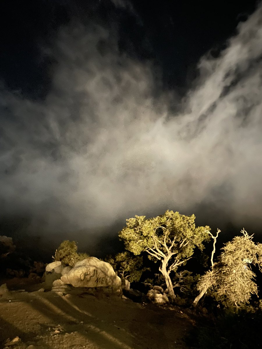 الطايف البهّيه