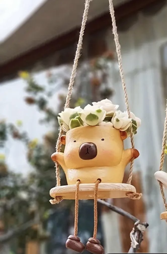 カピバラかぴばら (@capybara5179) / Posts / X