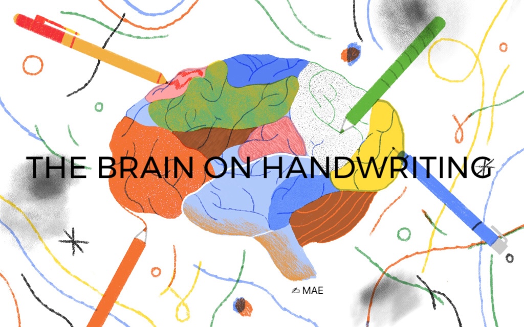 DrEscotet's tweet image. THE BRAIN ON HANDWRITING

(All of my following sentences below have been based on published research, which does not mean that they may be present in new or future studies.)

✍ What matters is not just what we write, but how we write it, especially without letting others do it…