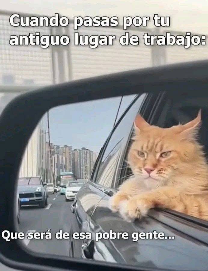 MemesSV7's tweet image. 