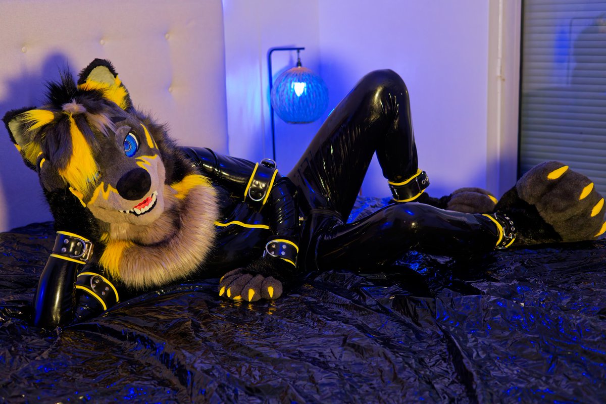 Stop staring and hop in bed 😏
📷: Jerico
💻: <a href="/ADedranWolf/">Dedran/Orbit 🔜 NFC, LVFC</a>