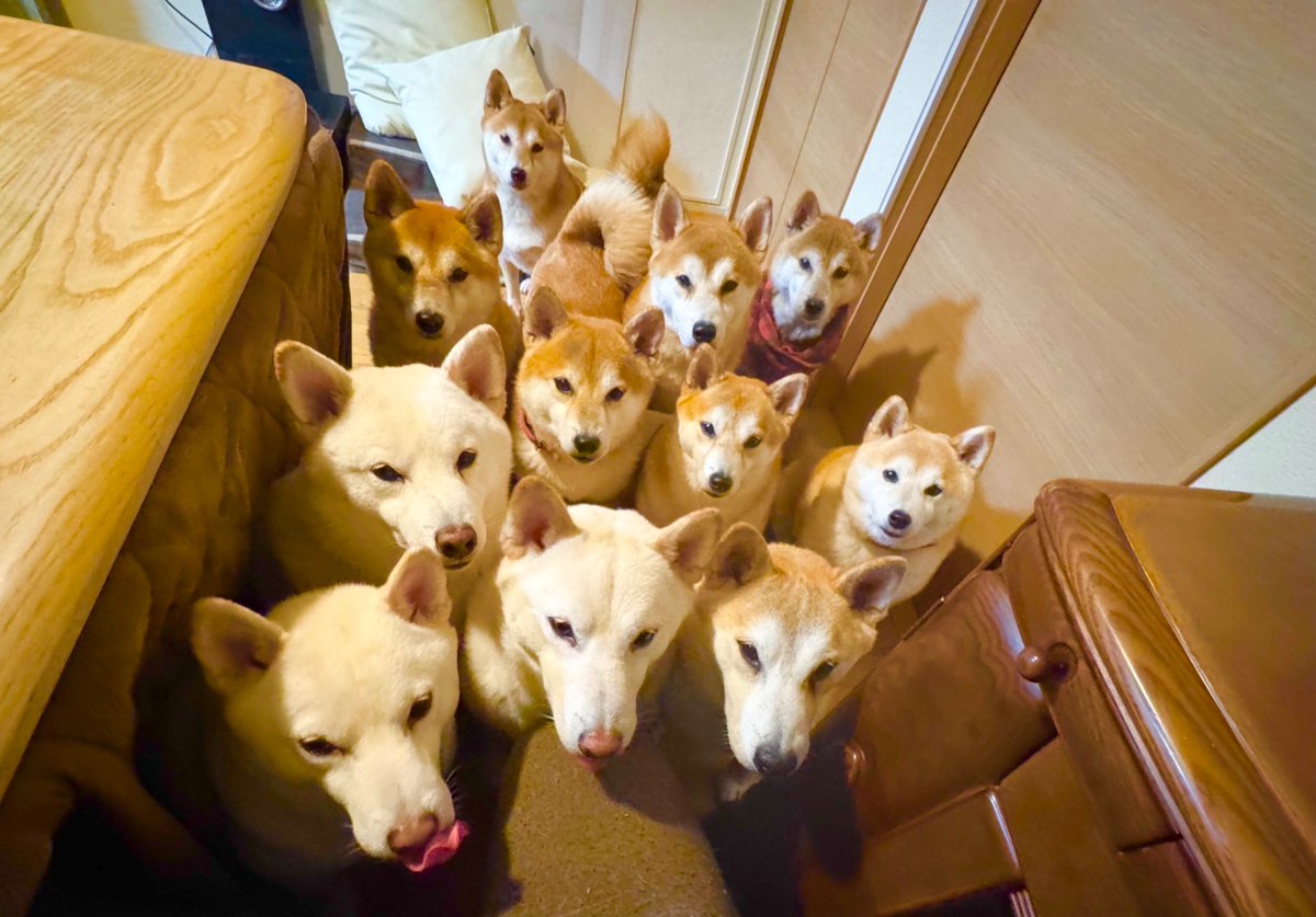 なんか最高のアカウント見つけてしまったみたい