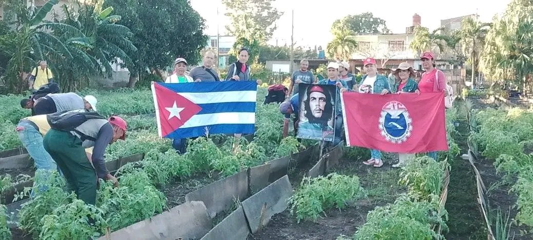 guerr74501's tweet image. Trabajadores honrando al Che, en Jornada de Trabajo Voluntario en Las Tunas, producción de alimentos. #SiPodemos
#PorLasTunasLaVictoria