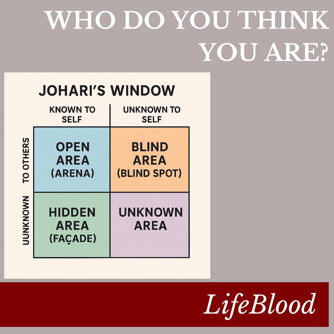 glgrombacher's tweet image. And just who do you think you are? Do you know? How much time do you spend thinking and figuring yourself out?

The Johari Window, and mapping archetypes over the top of it can help one gain a deeper understanding of oneself!

#selfknowledge #johariwindow #archetypes