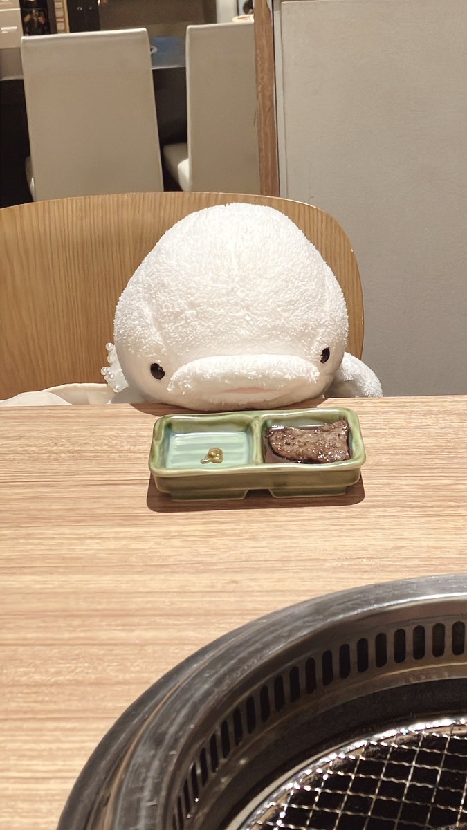 beluga_250607's tweet photo. 肉食獣の顔してたべルル
美味しかったね🥩 https://t.co/9jTtTcQmJT