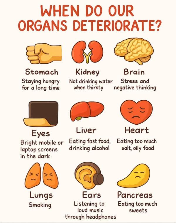 This is when our organs deteriorate.