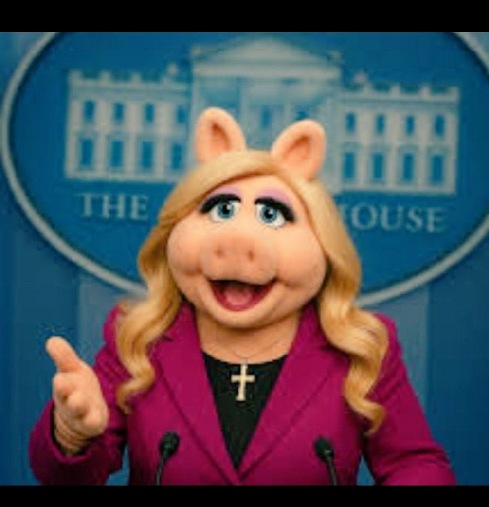 Son of Godzilla tweet media